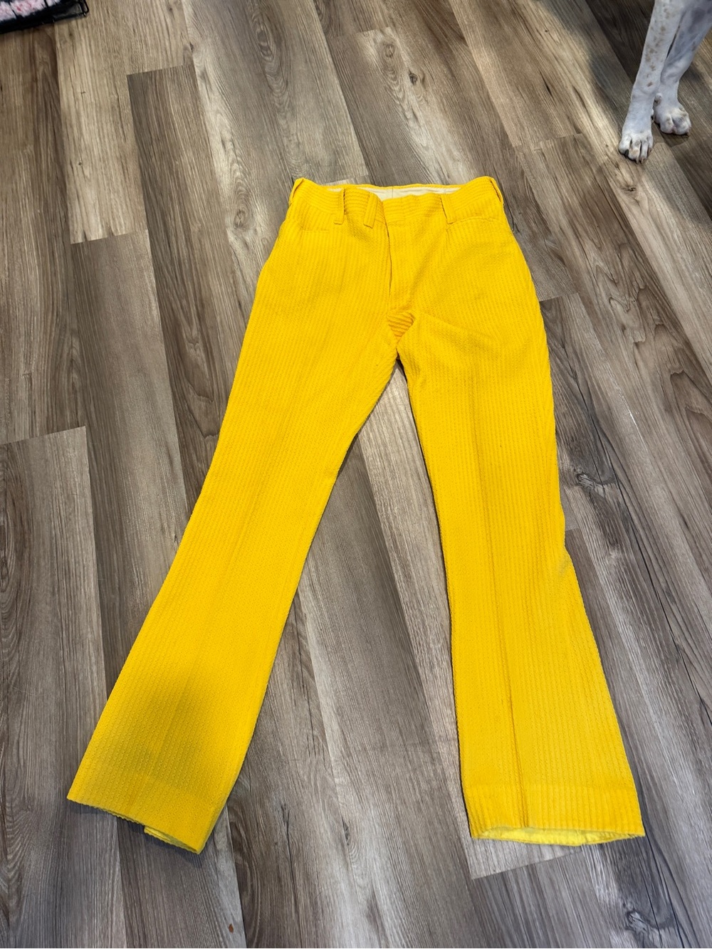 Men's Bright Yellow Dress Pants - Tailored Straight Leg